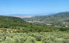 Gavene