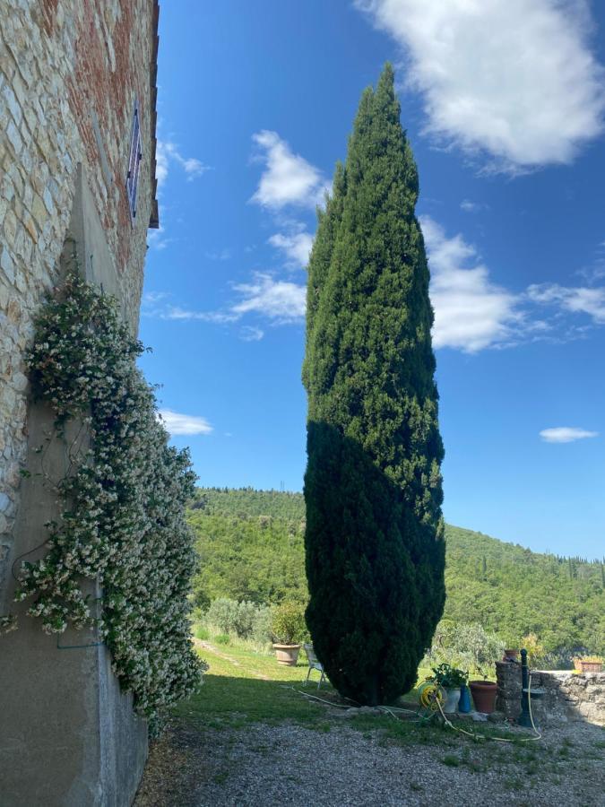 Hotel Gavene à Villamagna  Extérieur photo